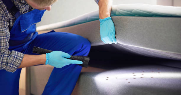 Best Exterminator Services  in Kenner, LA